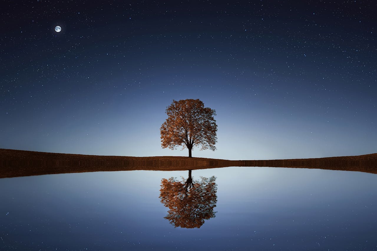 Ein Baum in der nacht am See