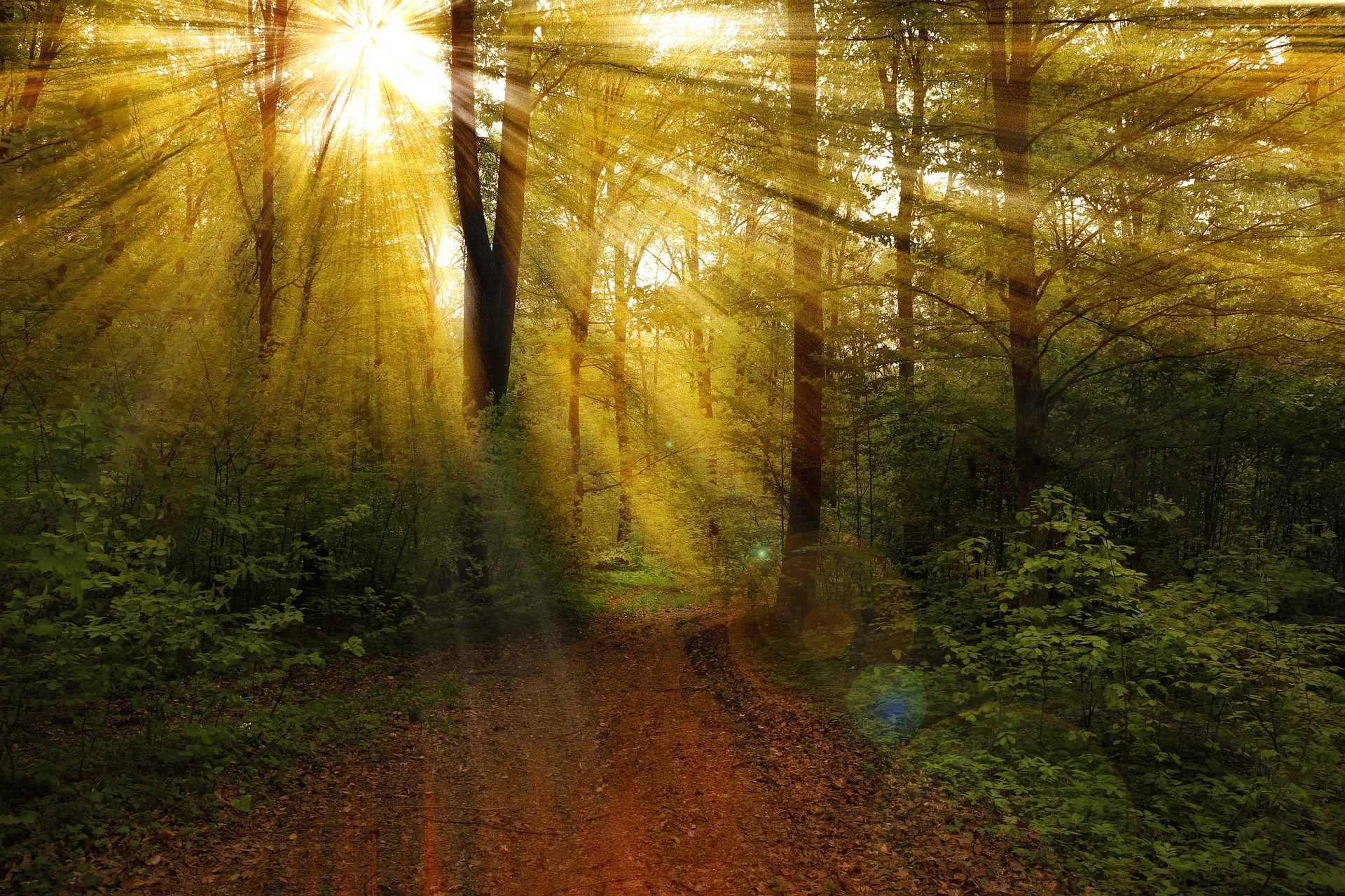 Trauerbegleitung Rays